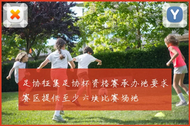 足协征集足协杯资格赛承办地要求赛区提供至少六块比赛场地