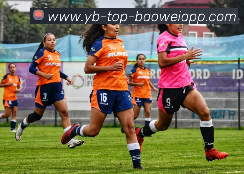 宝威体育品牌故事