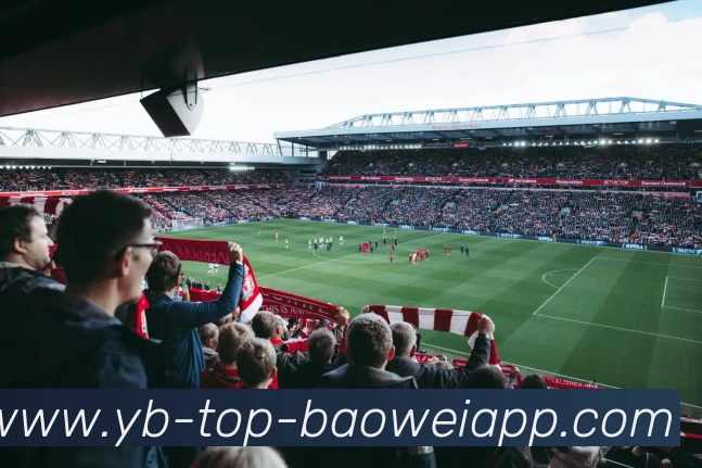 宝威体育服务体系